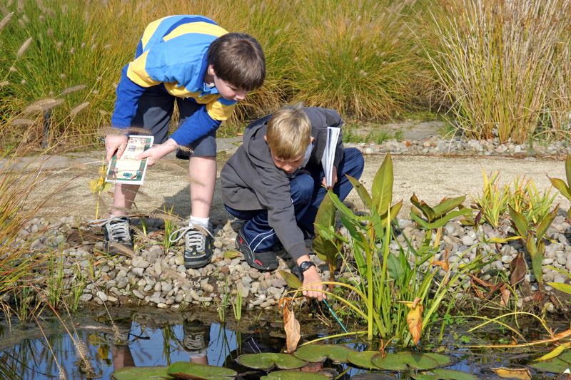 OFRI Natural Resources Education Program at The Oregon Garden