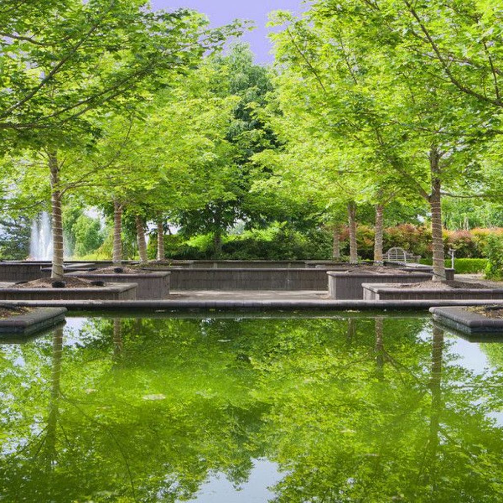 Garden Green & Bosque