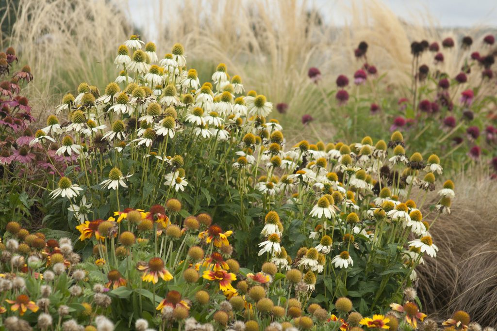 Discover The Oregon Garden